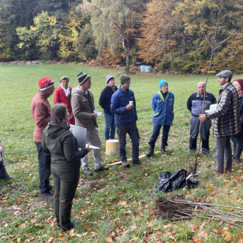 30 junge Bäume für eine blühende Zukunft!