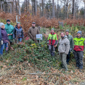 Wie ein Waldrand lebendig wird