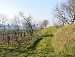 prefix-1590759002-172.JPG