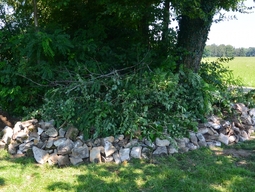 prefix-1597241990-554.jpg
