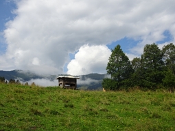 prefix-1599654042-266.JPG