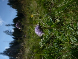 prefix-1599725451-749.JPG