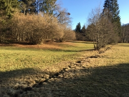 prefix-1600243569-991.JPG