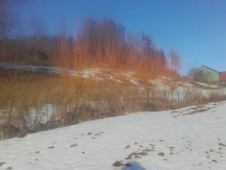 prefix-1611391241-680.jpg
